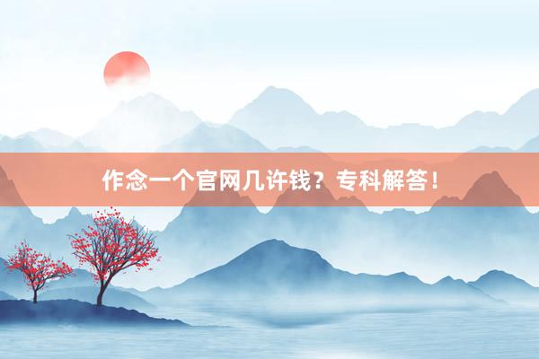作念一个官网几许钱？专科解答！