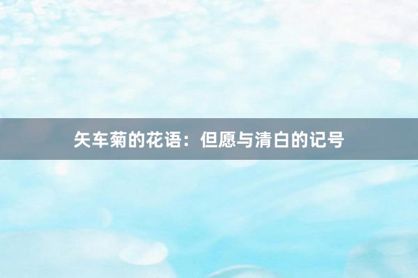 矢车菊的花语：但愿与清白的记号